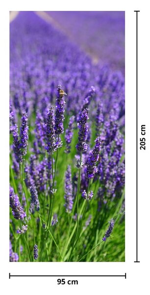 Foto tapeta za vrata - Lavanda (95x205cm)