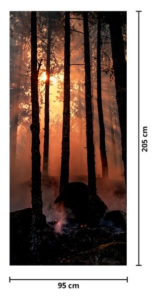 Foto tapeta za vrata - Tamna šuma (95x205cm)