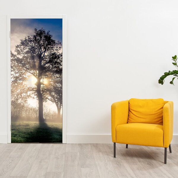 Foto tapeta za vrata - Stablo u magli (95x205cm)