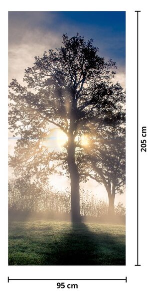 Foto tapeta za vrata - Stablo u magli (95x205cm)