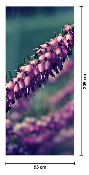 Foto tapeta za vrata - Lavanda (95x205cm)
