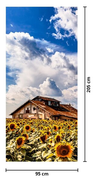 Foto tapeta za vrata - Polje suncokreta (95x205cm)