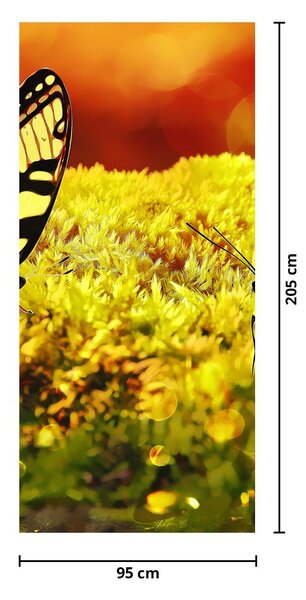 Foto tapeta za vrata - Leptiri (95x205cm)