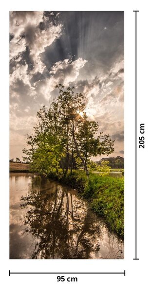 Foto tapeta za vrata - Priroda sa zrakama (95x205cm)