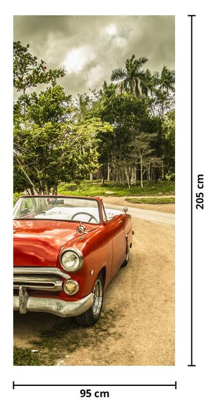 Foto tapeta za vrata - Auto oldtimer u prirodi (95x205cm)
