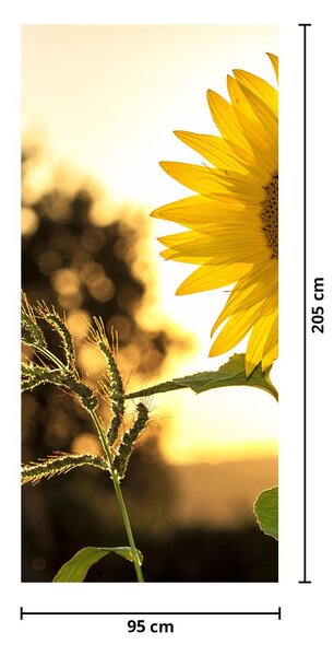 Foto tapeta za vrata - Suncokret (95x205cm)