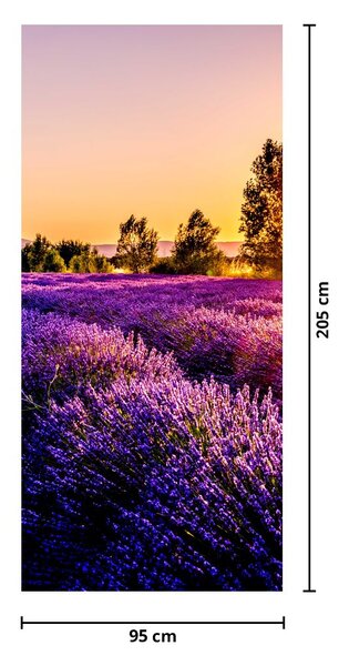 Foto tapeta za vrata - Polje lavande (95x205cm)
