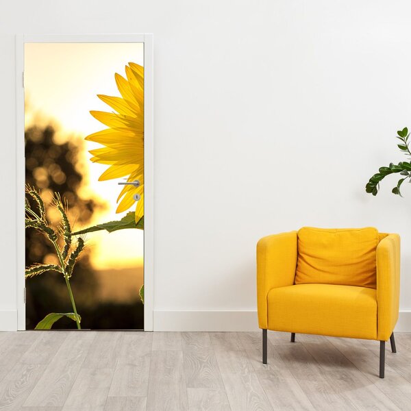 Foto tapeta za vrata - Suncokret (95x205cm)