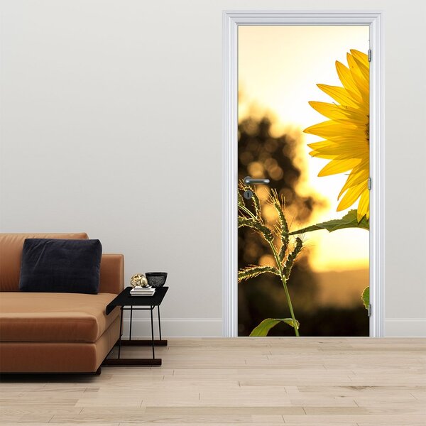 Foto tapeta za vrata - Suncokret (95x205cm)