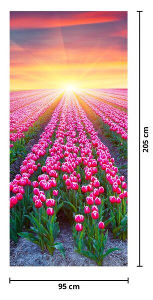 Foto tapeta za vrata - Polje tulipana sa suncem (95x205cm)