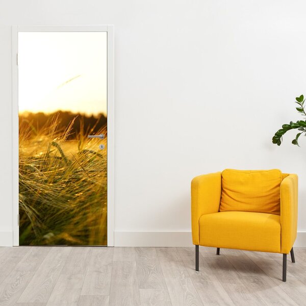Foto tapeta za vrata - Kapi rose na travi (95x205cm)