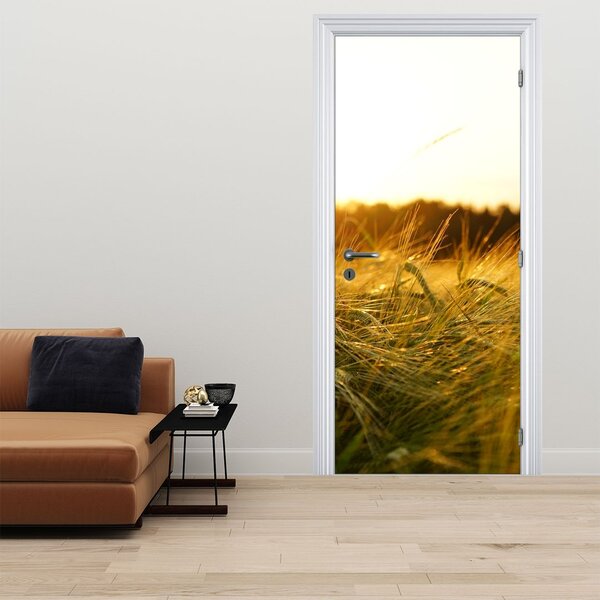 Foto tapeta za vrata - Kapi rose na travi (95x205cm)