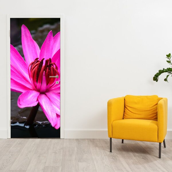 Foto tapeta za vrata - Ružičasti cvijet (95x205cm)