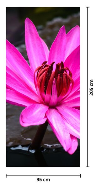 Foto tapeta za vrata - Ružičasti cvijet (95x205cm)