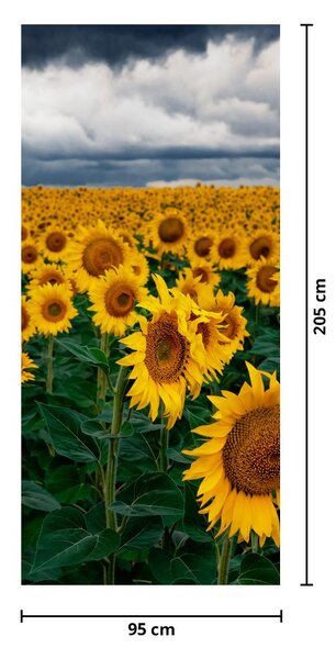 Foto tapeta za vrata - Polje suncokreta (95x205cm)