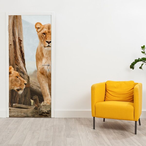 Foto tapeta za vrata - Dvije lavice (95x205cm)
