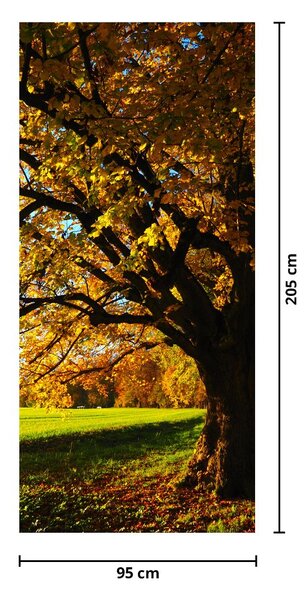 Foto tapeta za vrata - Jesen (95x205cm)