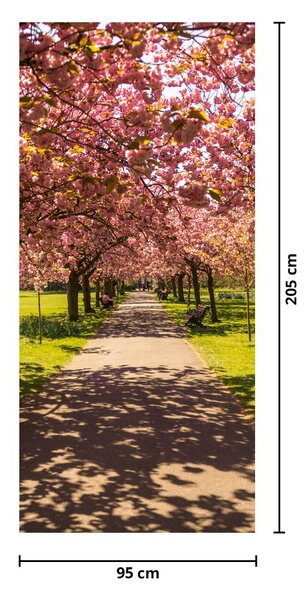 Foto tapeta za vrata - Voćnjak trešanja (95x205cm)