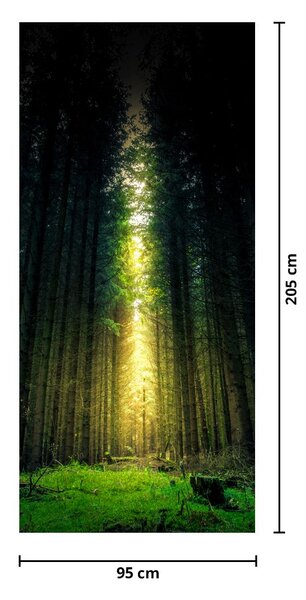 Foto tapeta za vrata - Tamna šuma (95x205cm)