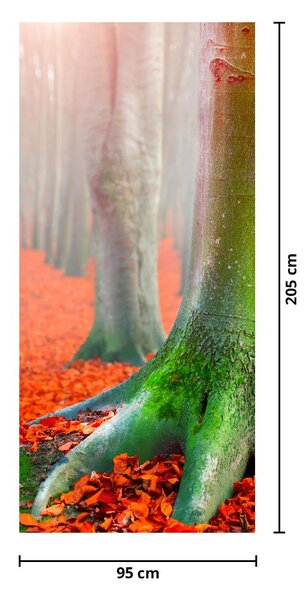 Foto tapeta za vrata - Drveće (95x205cm)