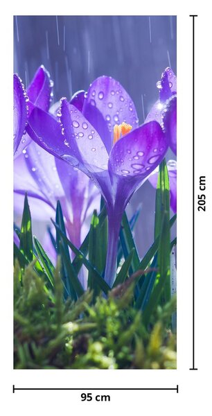 Foto tapeta za vrata - Cvijeće na kiši (95x205cm)