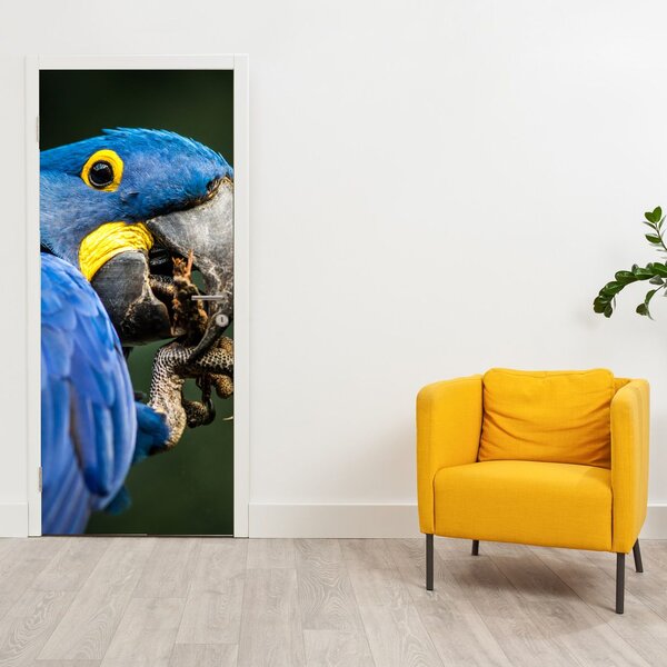 Foto tapeta za vrata - Papagaj (95x205cm)