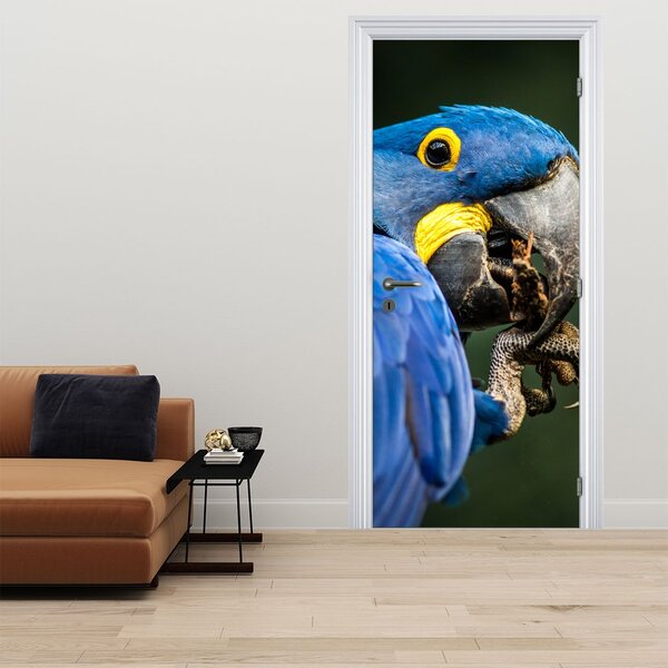 Foto tapeta za vrata - Papagaj (95x205cm)