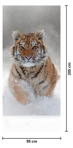 Foto tapeta za vrata - Tigar koji trči po snijegu (95x205cm)