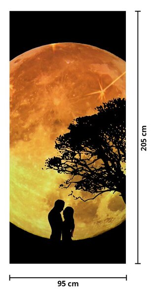 Foto tapeta za vrata - Sjene na mjesečini (95x205cm)