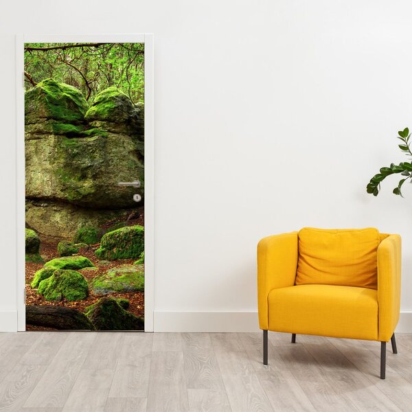 Foto tapeta za vrata - Čarobna šuma (95x205cm)