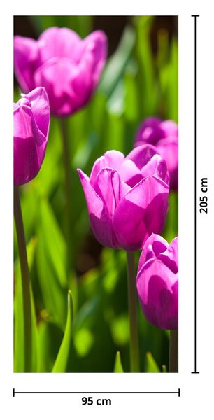 Foto tapeta za vrata - Tulipani na livadi (95x205cm)