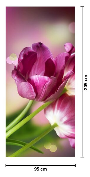Foto tapeta za vrata - Ružičasti tulipani (95x205cm)