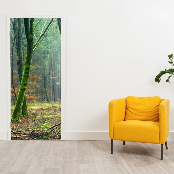 Foto tapeta za vrata - Šuma (95x205cm)