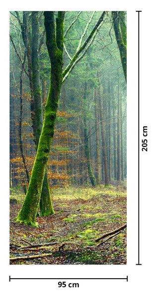 Foto tapeta za vrata - Šuma (95x205cm)