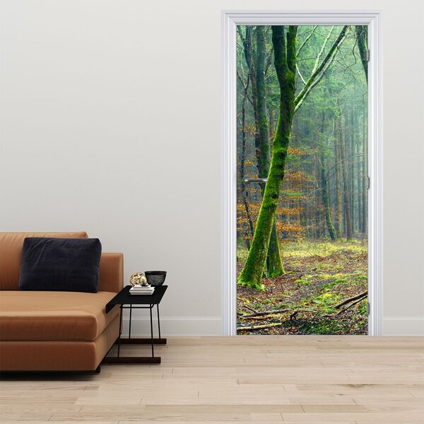 Foto tapeta za vrata - Šuma (95x205cm)