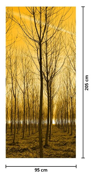 Foto tapeta za vrata - Šuma na zalasku sunca (95x205cm)