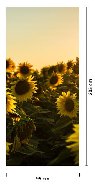 Foto tapeta za vrata - Polje suncokreta (95x205cm)