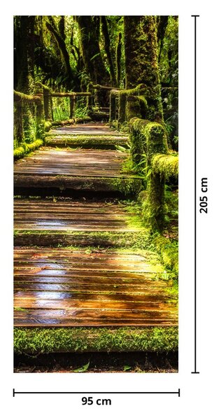 Foto tapeta za vrata - Stepenice u prašumi (95x205cm)
