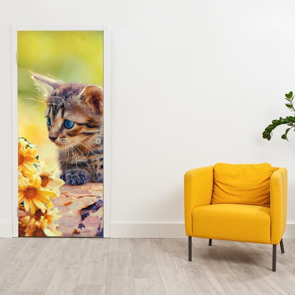 Foto tapeta za vrata - Mačić gleda u cvijet (95x205cm)