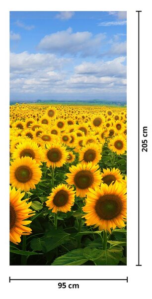 Foto tapeta za vrata - Polje suncokreta (95x205cm)