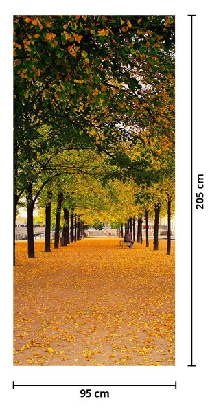 Foto tapeta za vrata - Aleja jesenjih stabala (95x205cm)