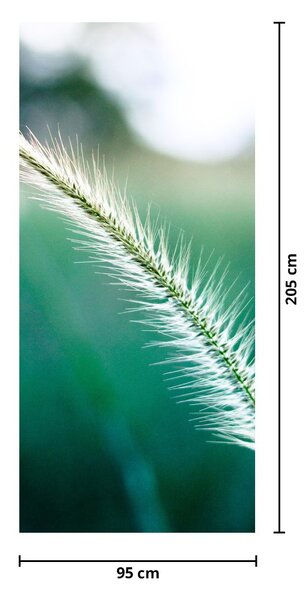Foto tapeta za vrata - Vlat trave (95x205cm)