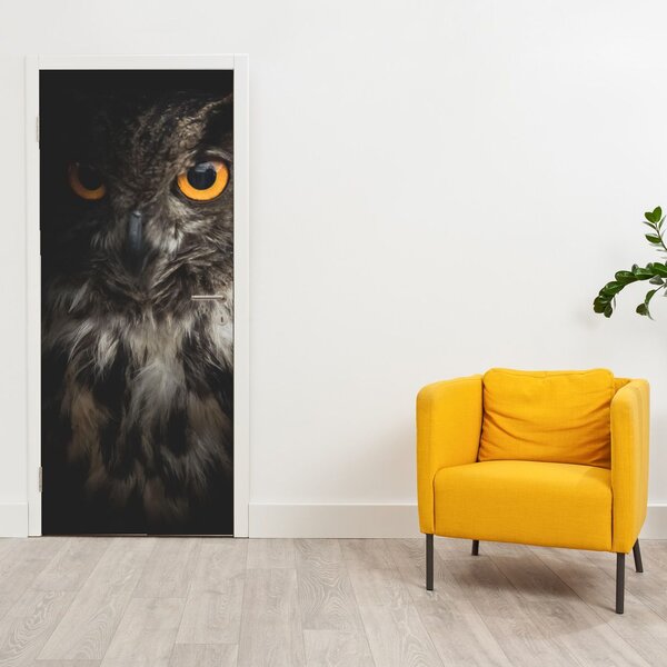 Foto tapeta za vrata - Sova (95x205cm)