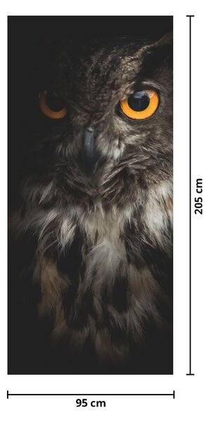 Foto tapeta za vrata - Sova (95x205cm)