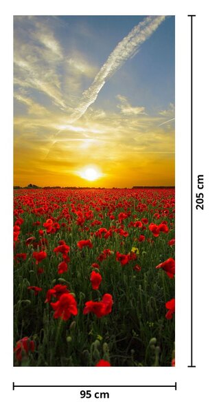 Foto tapeta za vrata - Polje maka (95x205cm)