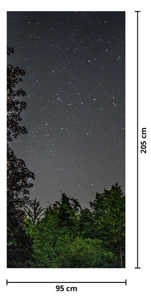 Foto tapeta za vrata - Noćno nebo (95x205cm)