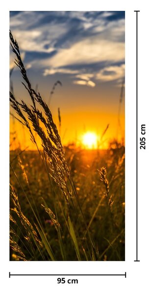 Foto tapeta za vrata - Polje na zalasku sunca (95x205cm)