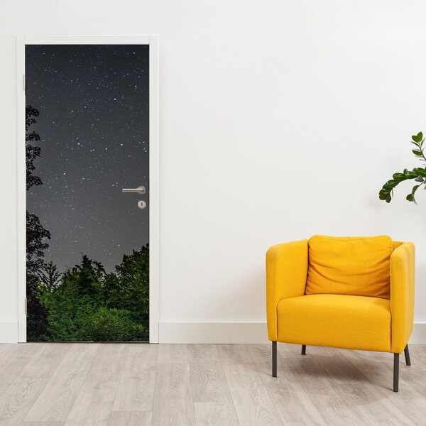 Foto tapeta za vrata - Noćno nebo (95x205cm)