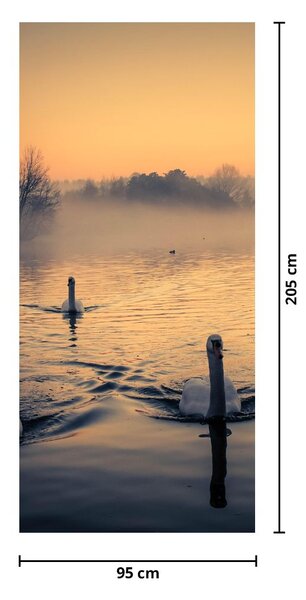 Foto tapeta za vrata - Labudovi na vodi u magli (95x205cm)