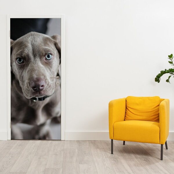 Foto tapeta za vrata - Štene (95x205cm)